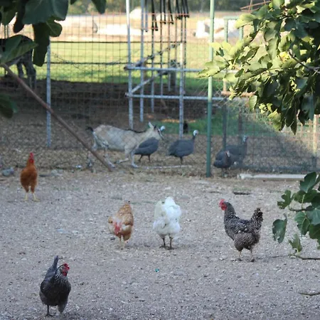 Çiftlik konaklama Ca Del Ponte