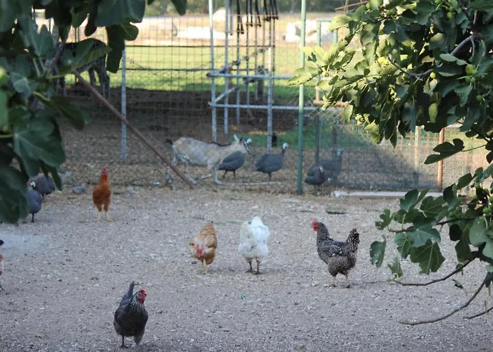Séjour à la ferme Cà Del Ponte